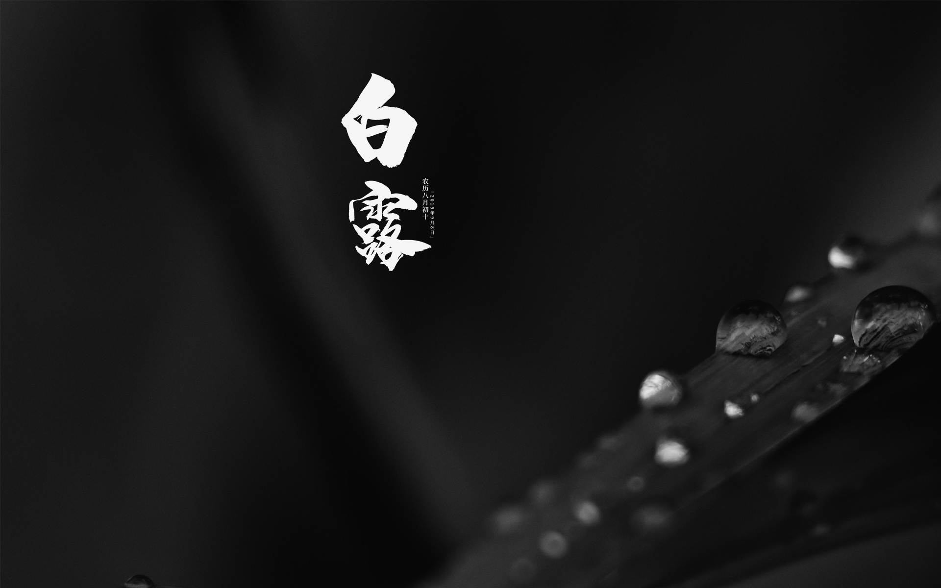 中国传统节气白露