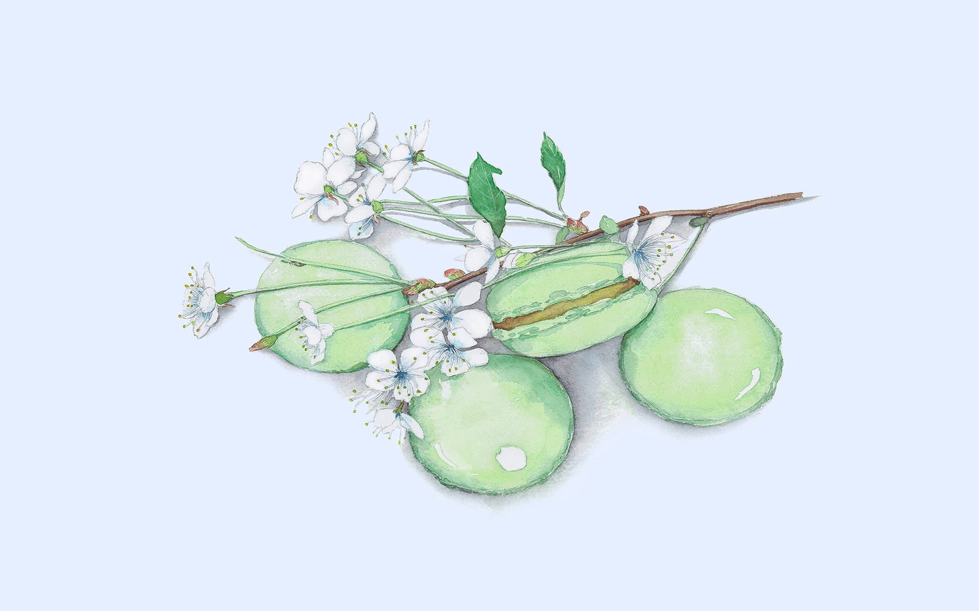 创意手绘美食插画,高清图片,电脑桌面-壁纸族