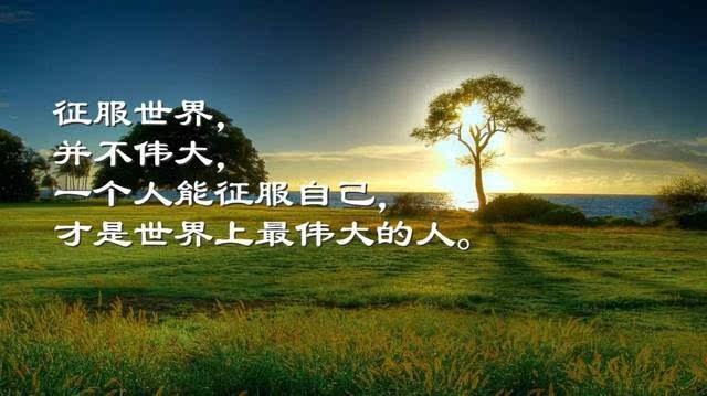 微信早安心语励志语录