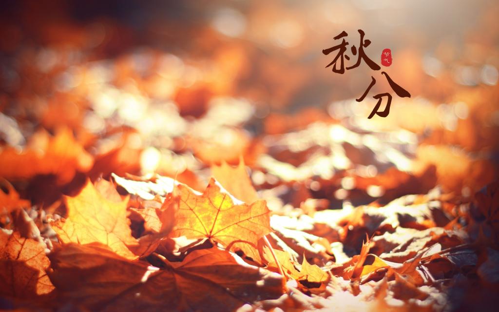 凉凉秋分送关怀