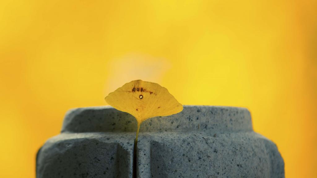 南京毗卢寺唯美秋色