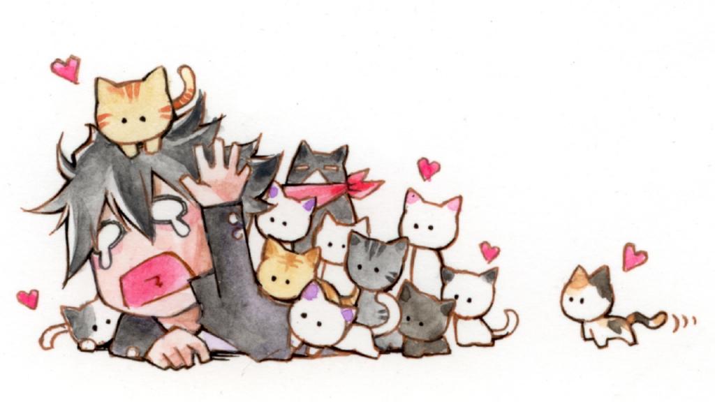 《猫愿三角恋》动漫