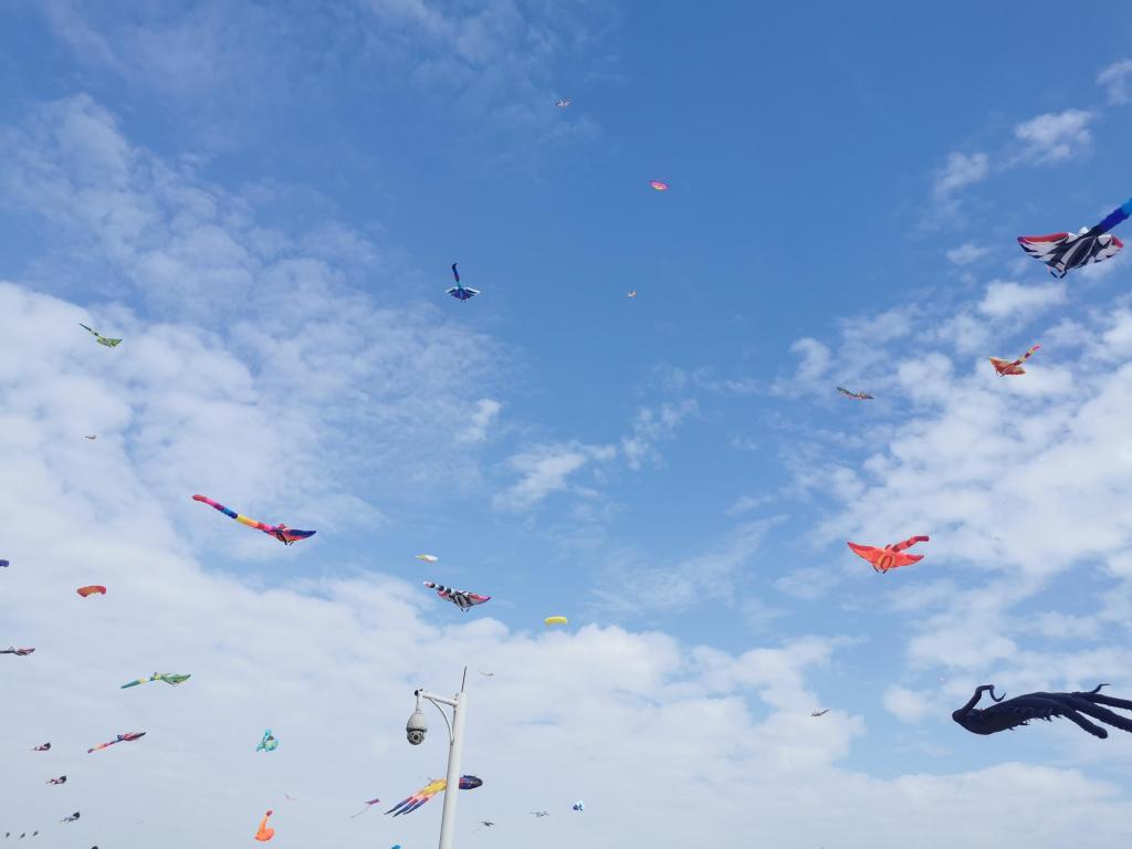 2020年亚洲运动风筝邀请赛厦门站