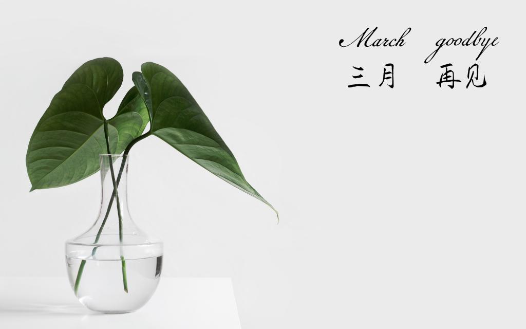 三月,明年我们再见