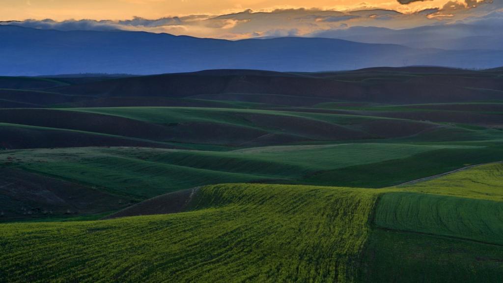 新疆喀拉峻草原