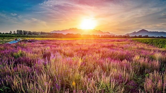 大自然的美丽风光