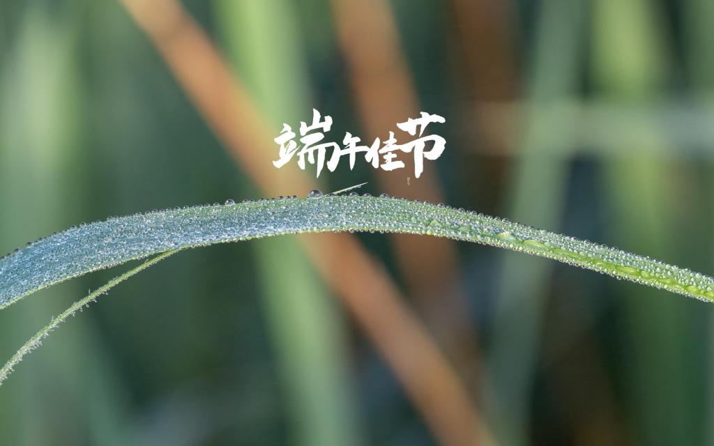中国传统节日端午节