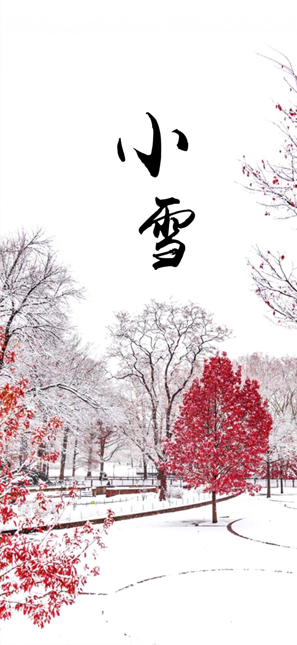 小雪节气随风到