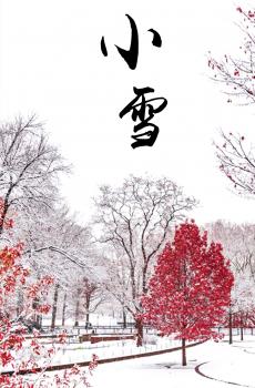 小雪节气随风到-3