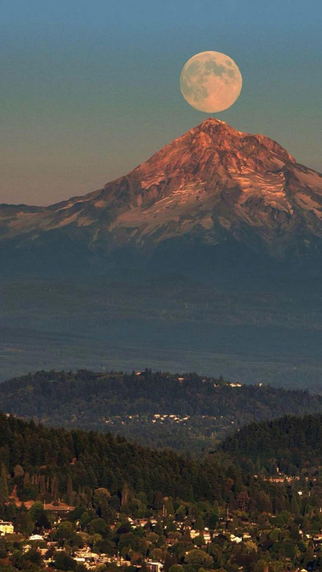 中秋佳节花好月圆风景图片