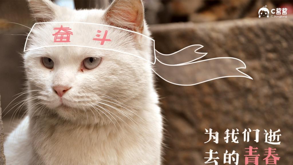 恶搞喵星人(猫咪)