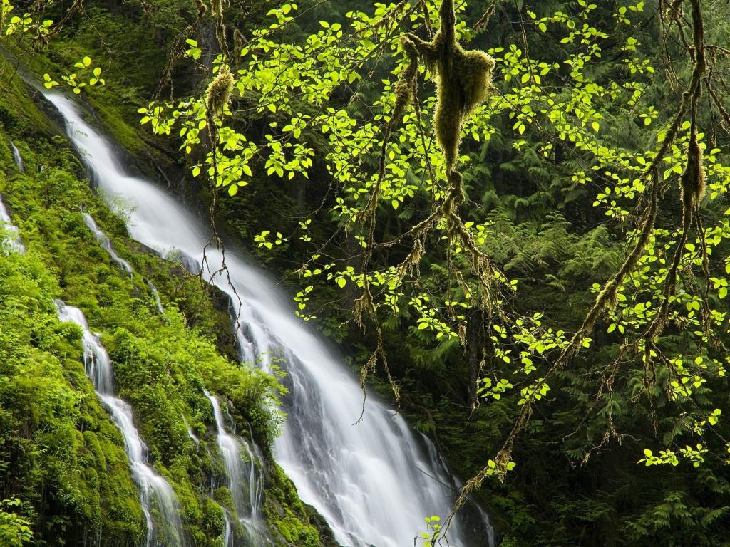 风光美景