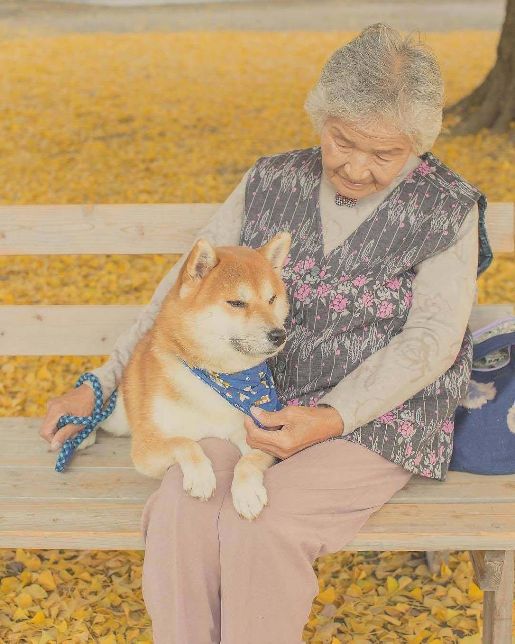 老人与犬温馨治愈系写真