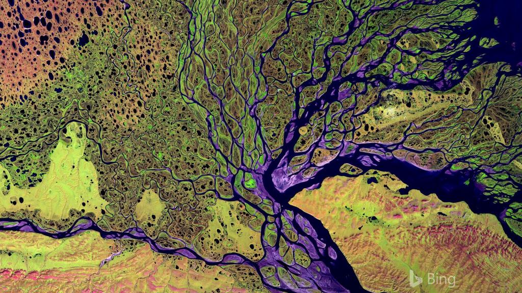 2018年Bing官方主题第四波