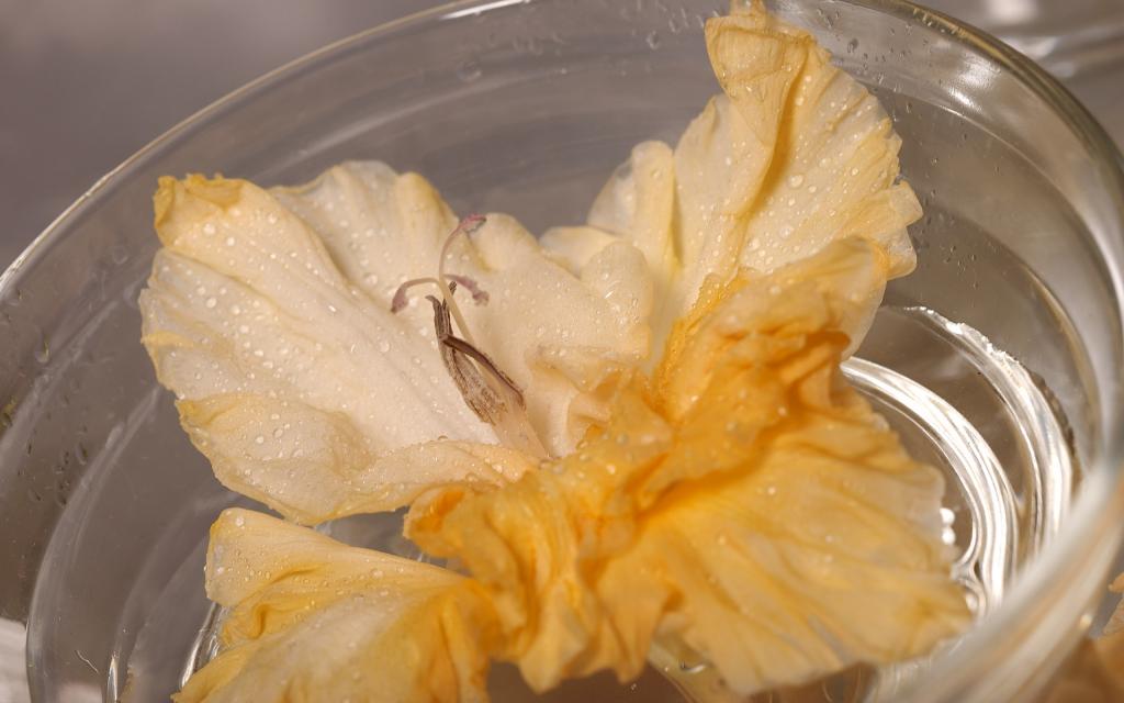超大艳丽鲜花特写