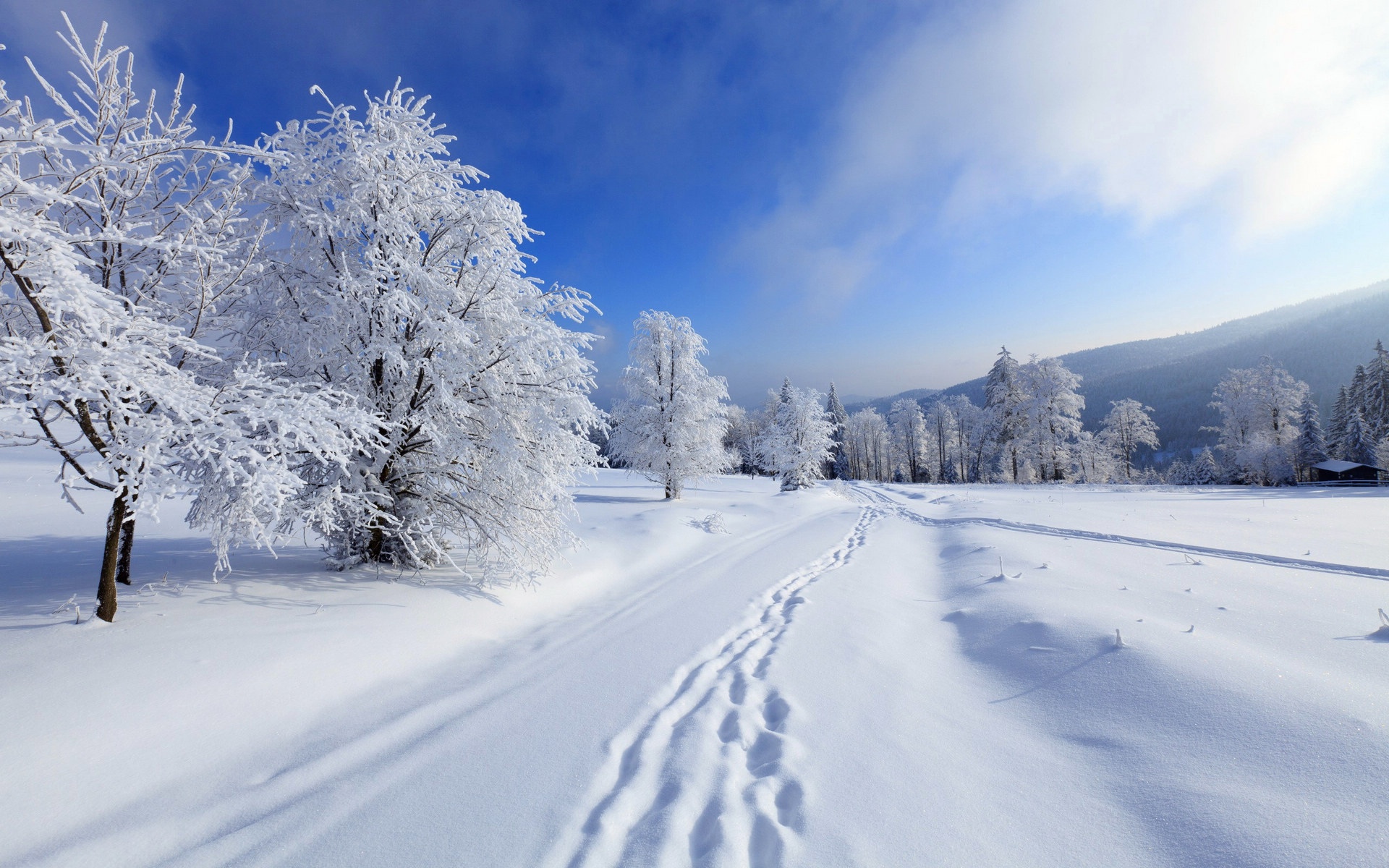 白雪中的道路风景,高清图片,电脑桌面-壁纸族