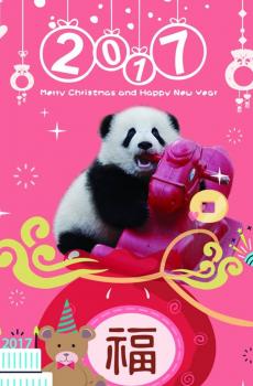 2017年味大熊猫拜年