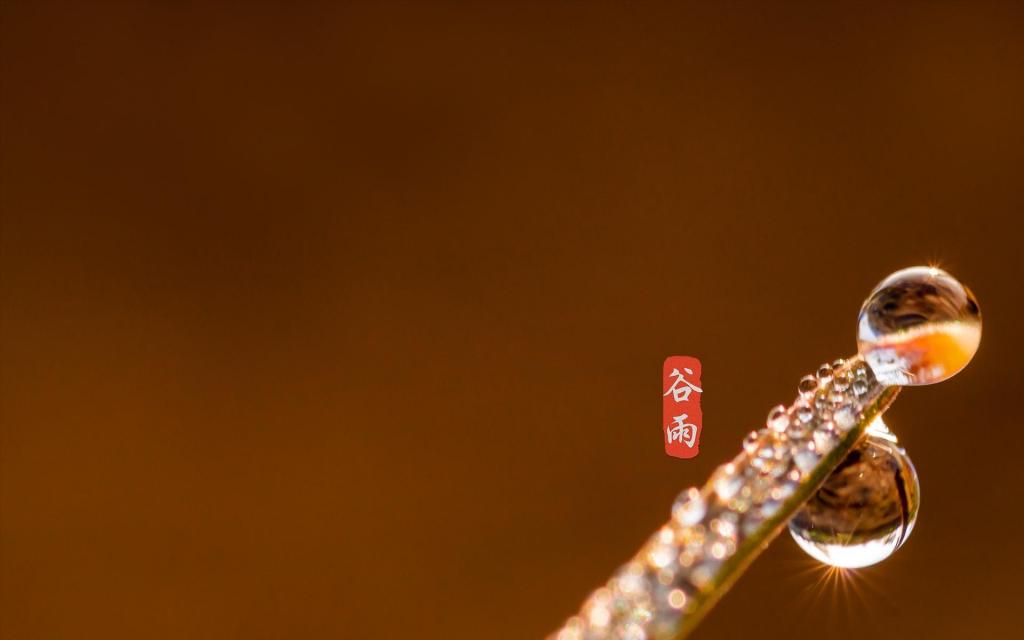 谷雨时节好,雨露强