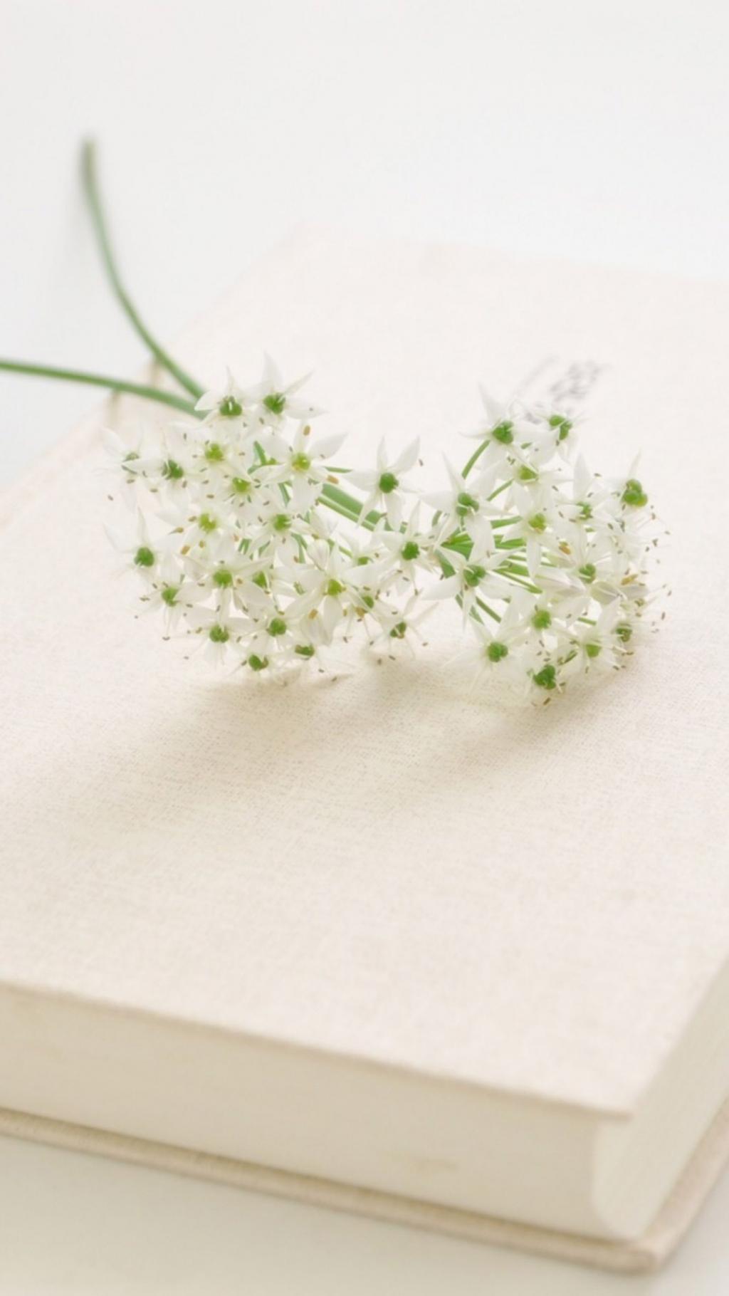 清新淡雅植物花卉