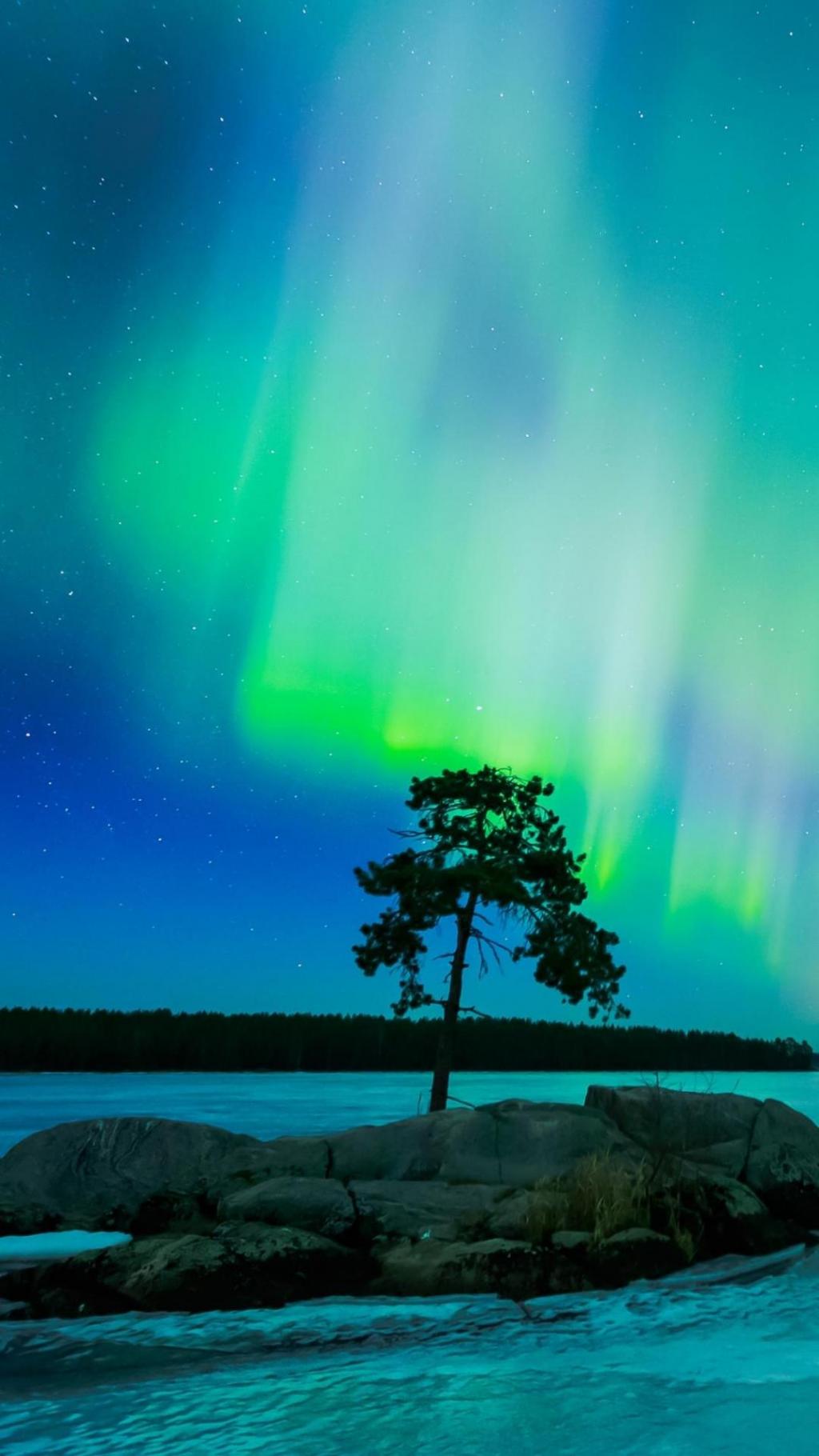 最美的极光之夜风光