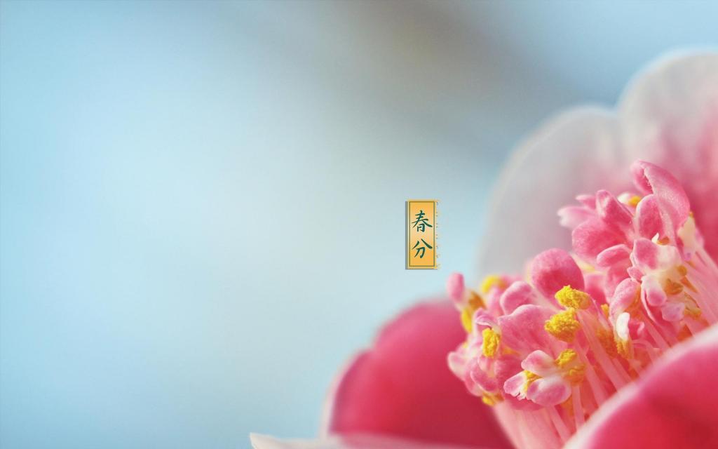 最美丽的24时节春分