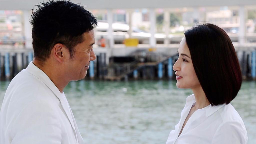 电视剧《飞虎之潜行极战》