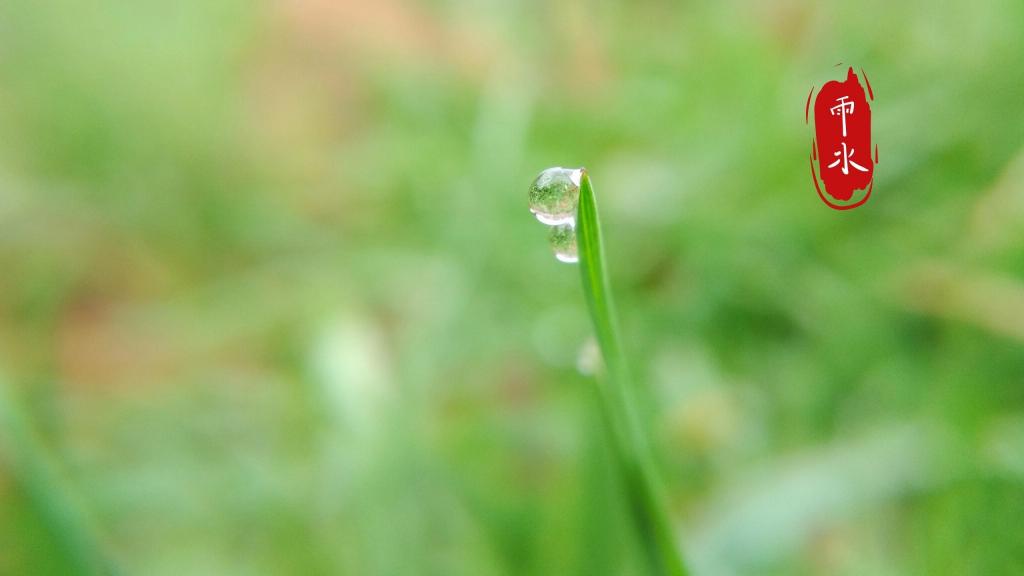 雨水节气到,愿下一场开心雨