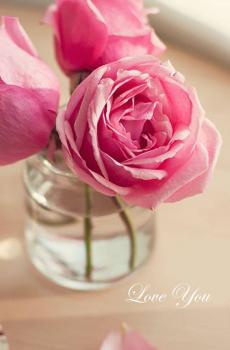 浪漫玫瑰英文锁屏-2