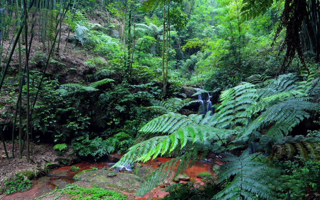 美丽的溪泉瀑布