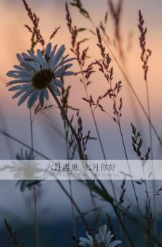 再见六月,七月你好-1