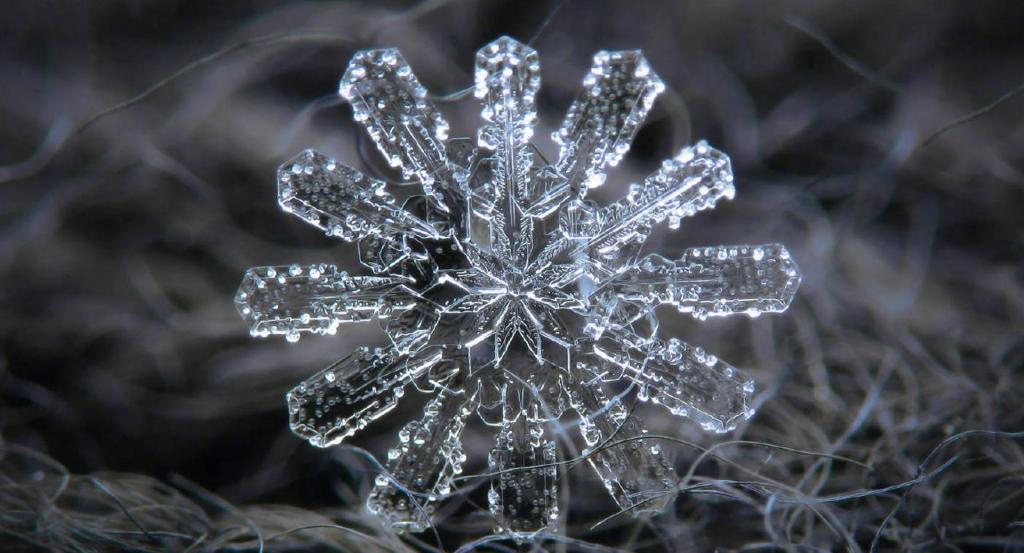 冬季里晶莹剔透的唯美雪花写真
