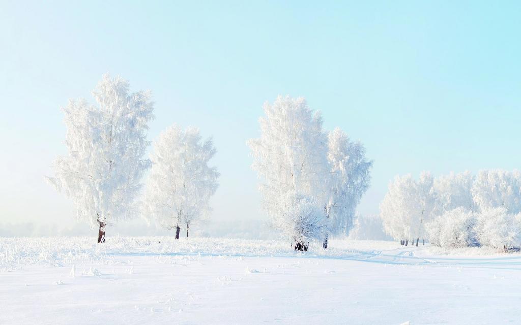 冬季雪景唯美写真