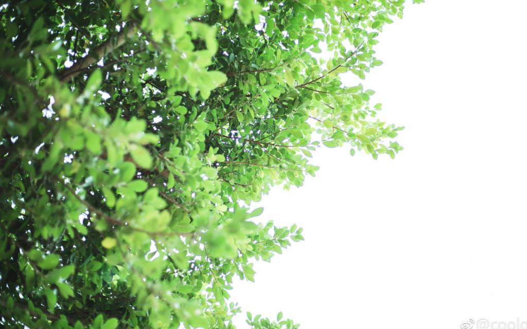 清新唯美户外自然风景