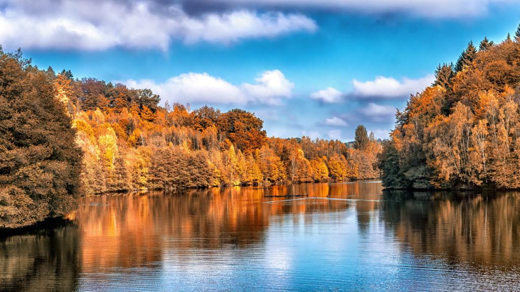 一念秋长，一念秋短