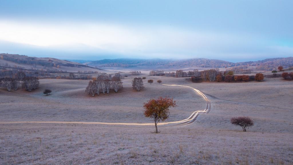 张家口坝上草原
