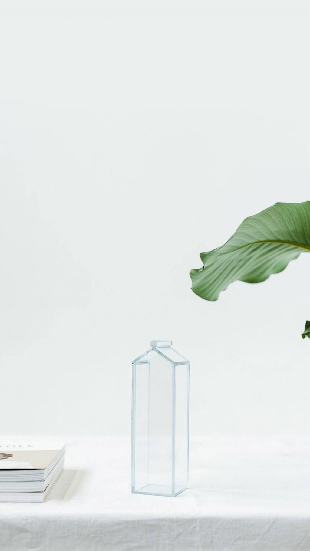 小清新绿色植物护眼锁屏