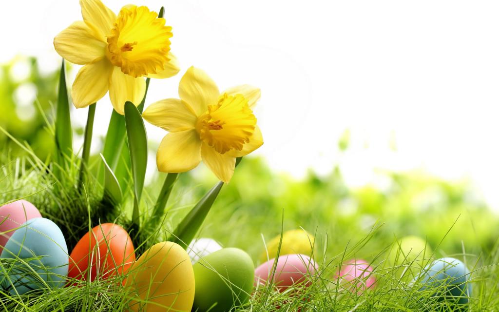 五彩缤纷的蛋蛋