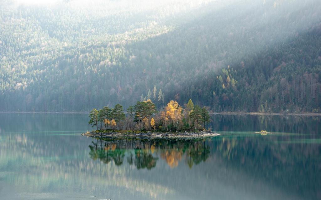 让人看了静心的图片