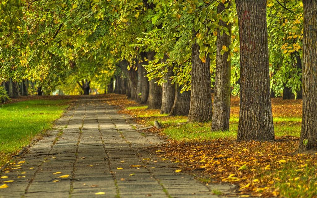 自然山水风光唯美壁纸