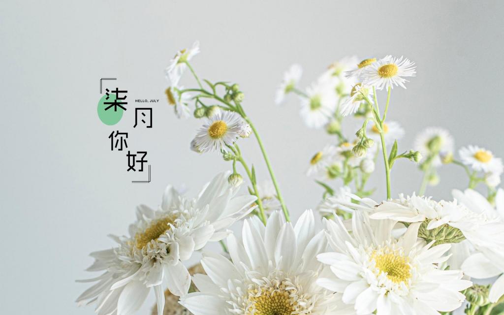 迎接最美的七月说说配图