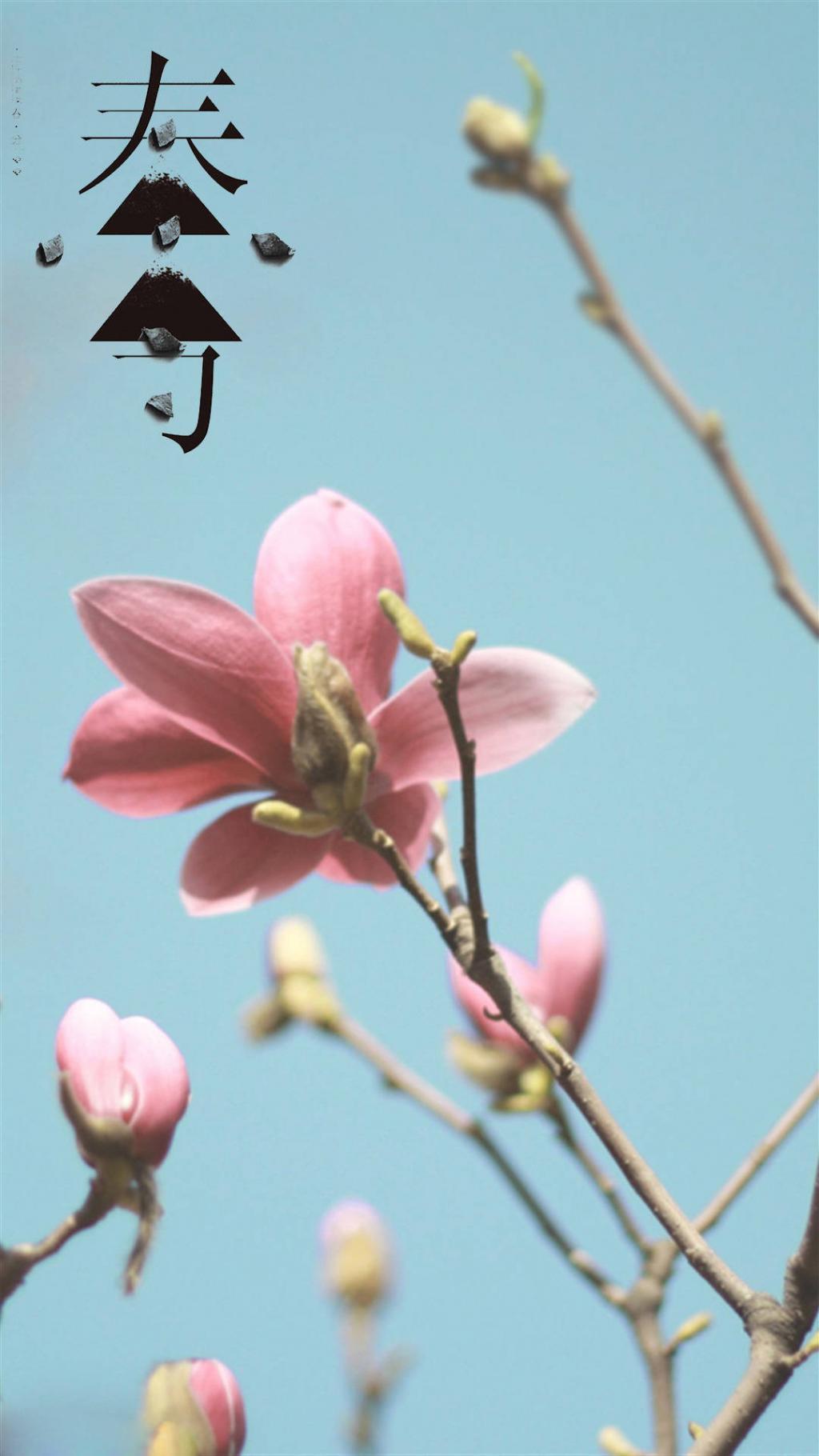 二十四节气之春分