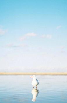 小清新风景摄影-7