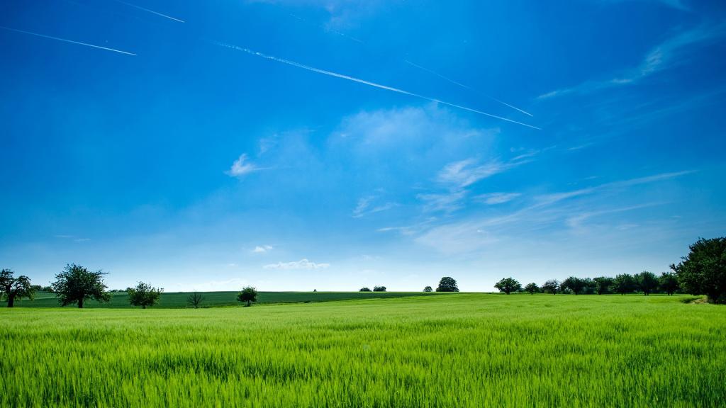 广袤的草原风光美景