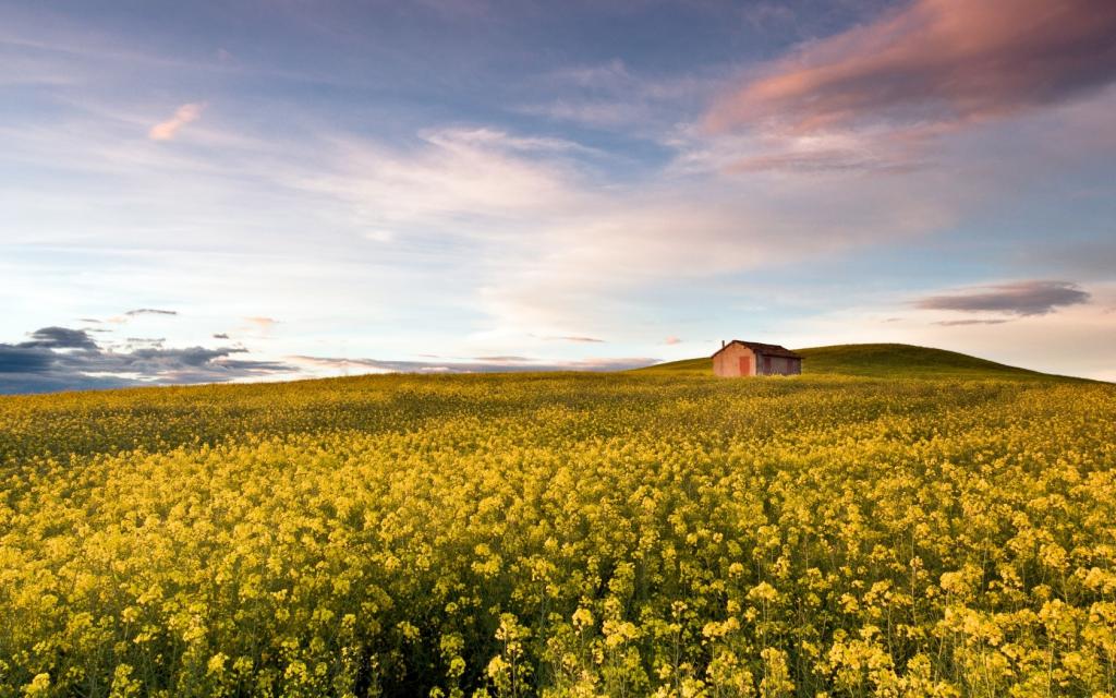 意大利自然唯美风景
