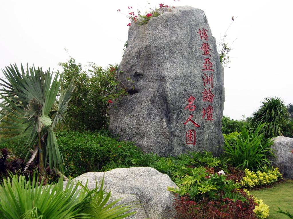 博鳌风光椰子树