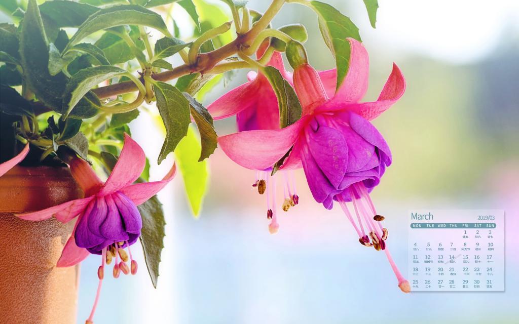 2019年3月小清新春天风景唯美写真日历