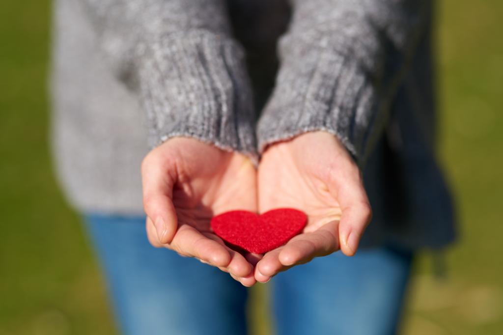 情人节那天的心形静物