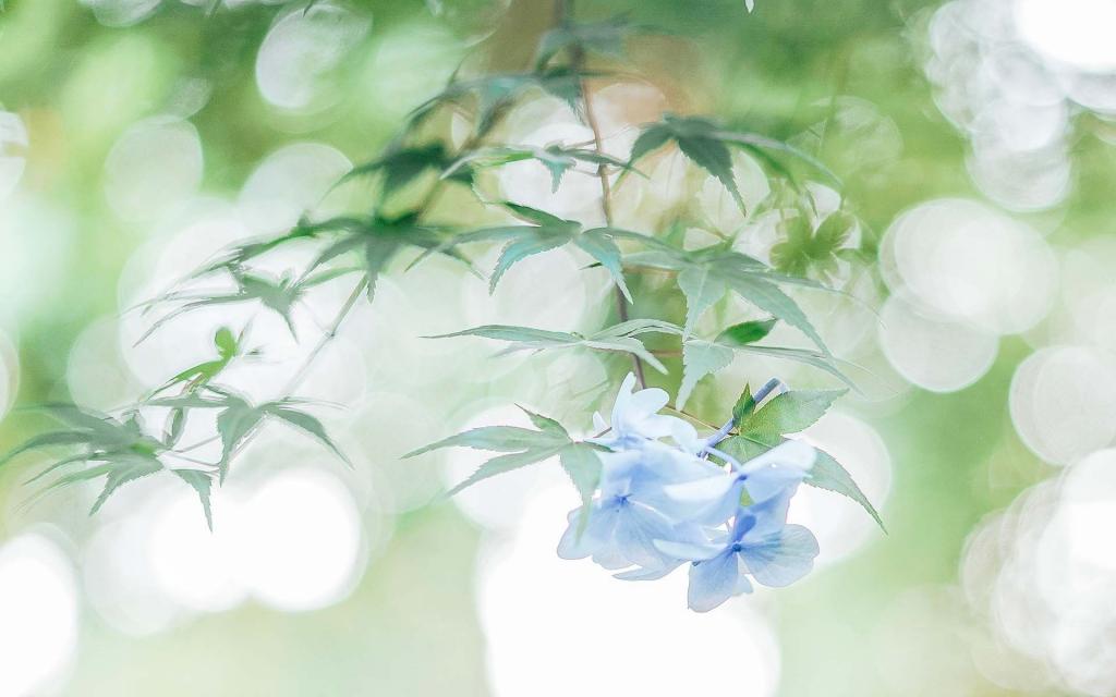 日系小清新唯美写真