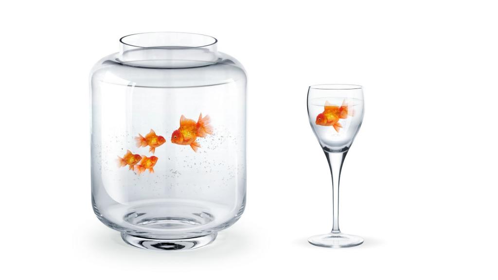 鱼缸中的金鱼惹人爱