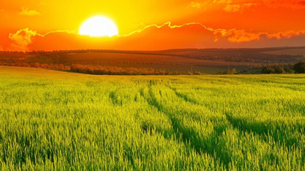 优美夕阳田野风光